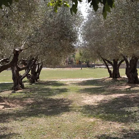 Mas Soles - Compartida En - Girona